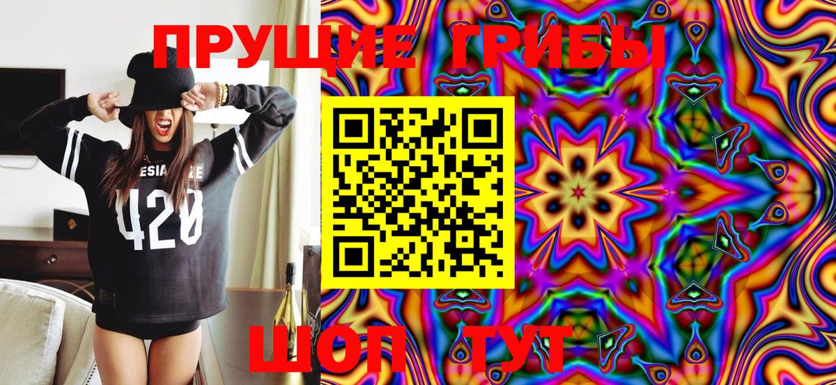 Анапа  Галлюциногенные грибы Psilocybe  Вход с VPN 